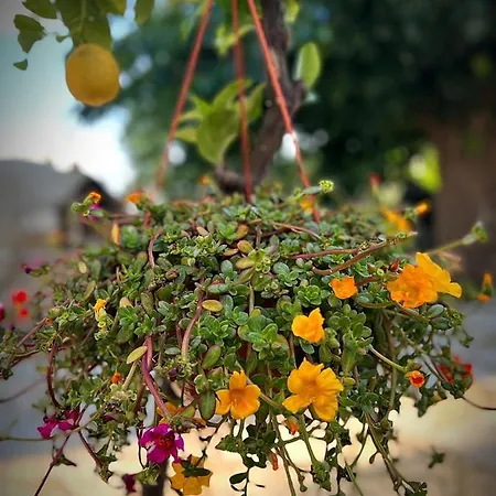 Cosy Piano Village In * Páhna