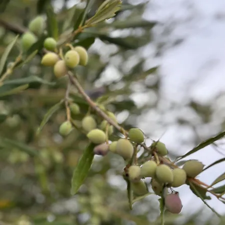 Nyaraló Cosy Piano Village In *