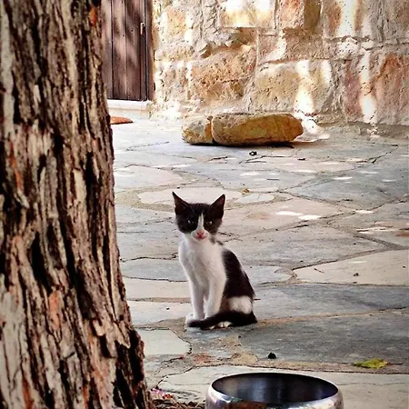 Cosy Piano Village In * Páhna