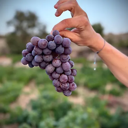 Nyaraló Cosy Piano Village In Páhna