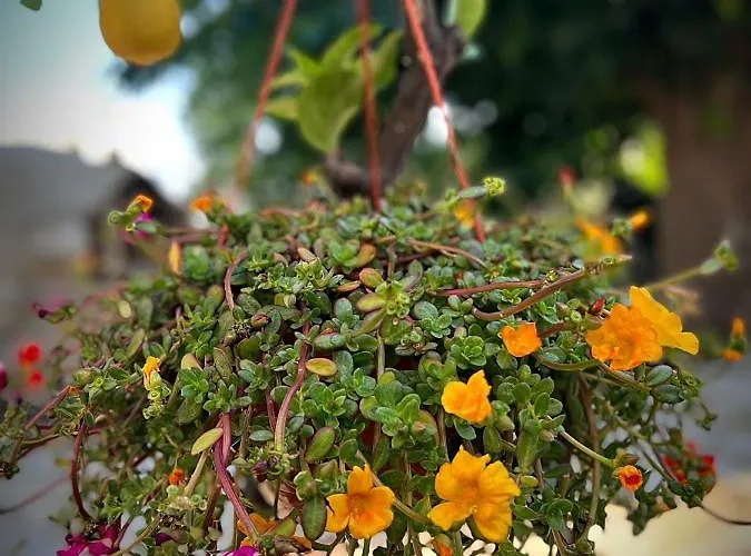 Cosy Piano Village In * Pachna