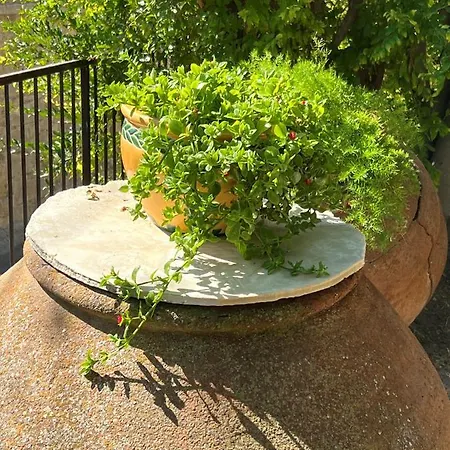 Case de vacanță Cosy Piano Village In Pachna