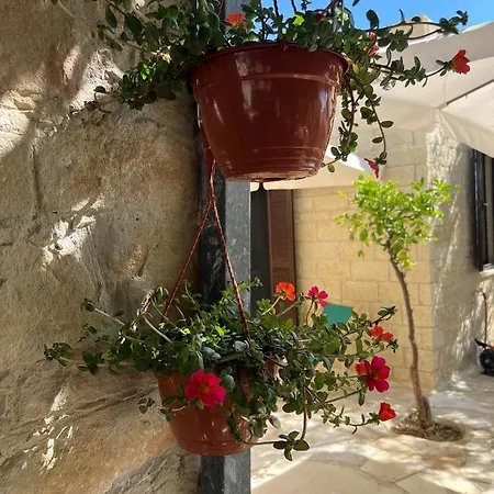 Cosy Piano Village In *