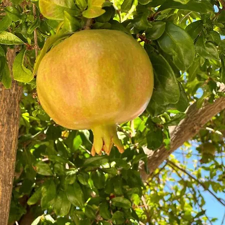 Cosy Piano Village In