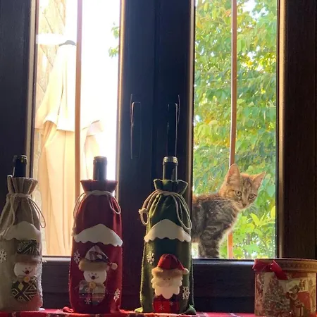 Casa de Férias Cosy Piano Village In Pachna