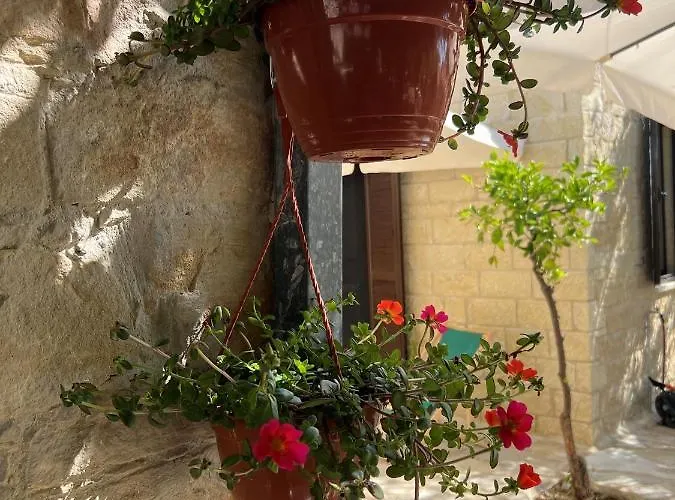 Cosy Piano Village In *