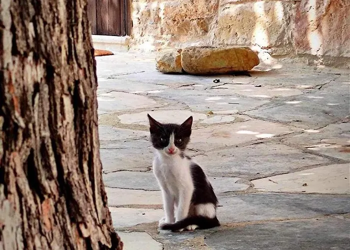 Cosy Piano Village In * Pachna